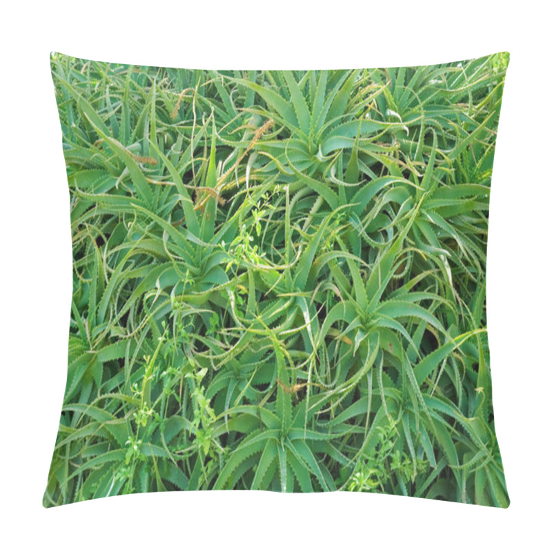 Personality  Aloe Vera Pillow Covers