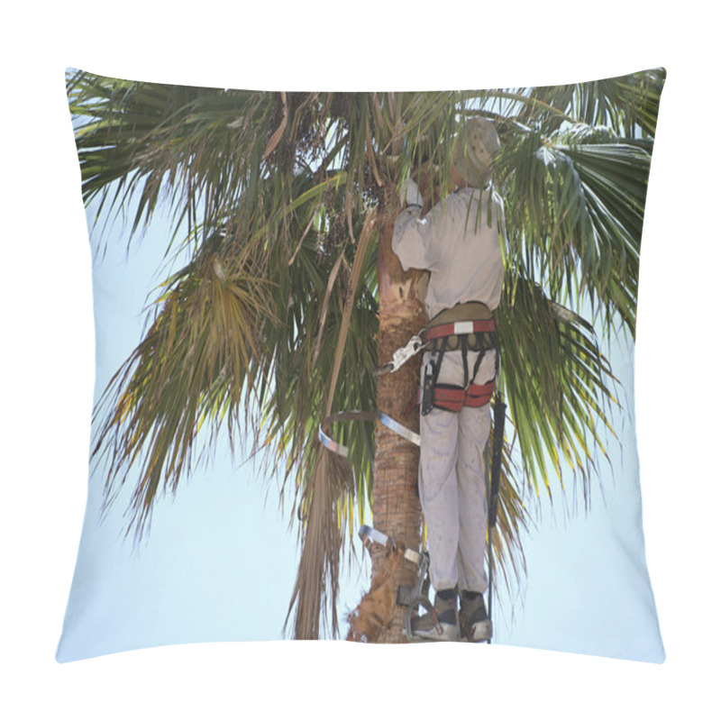 Personality  Cutting Palm Tree Fronds,high Up Pillow Covers