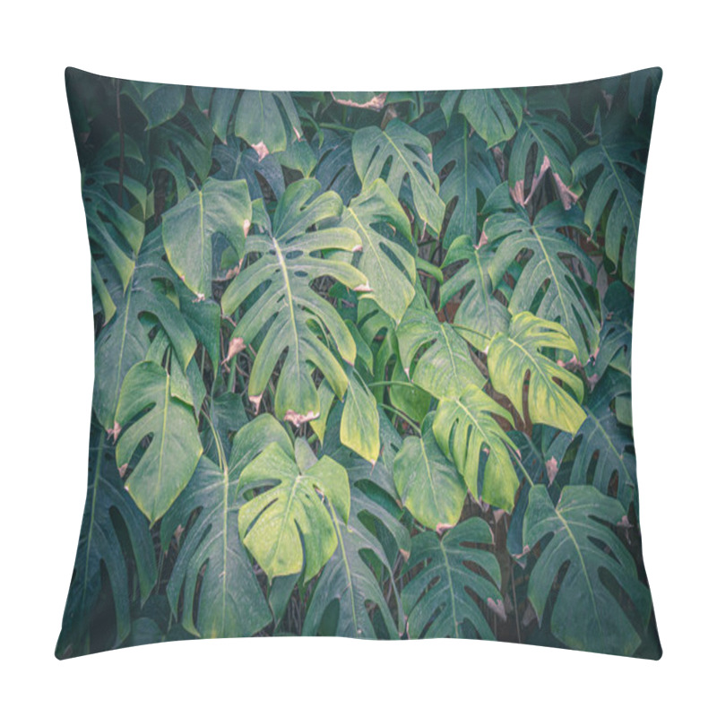 Personality  Close Up Of Monstera Foliage, Tropical Nature Background, Toned Image With Vignette Pillow Covers