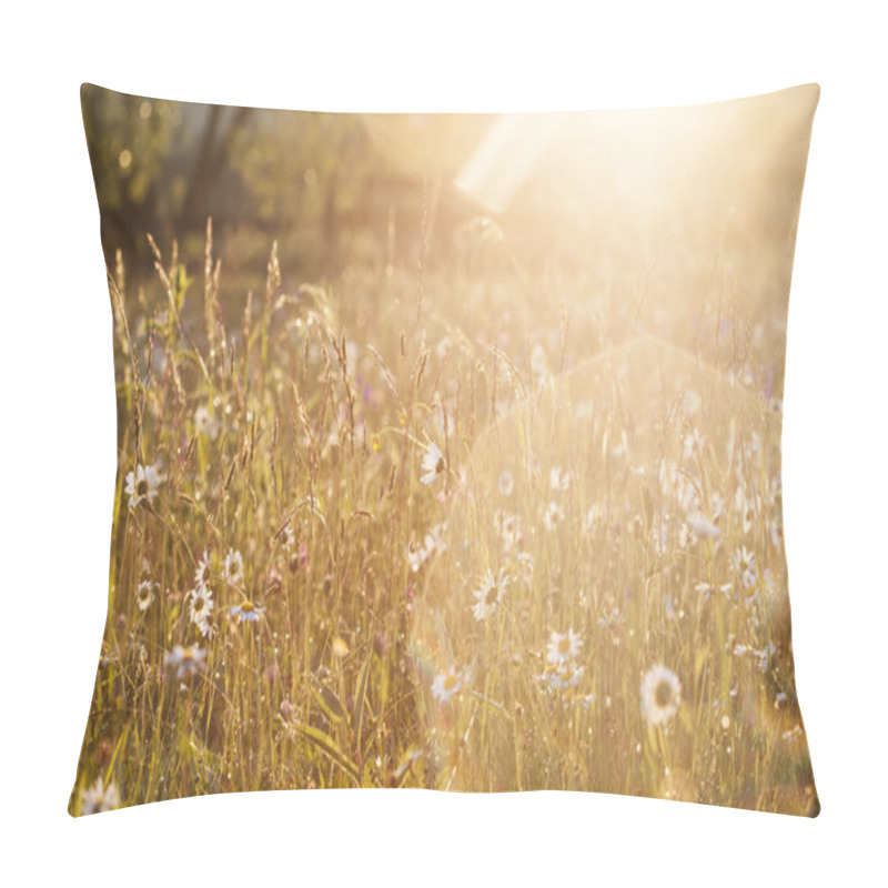 Personality  Summer Meadow With Daisies After Rain Pillow Covers