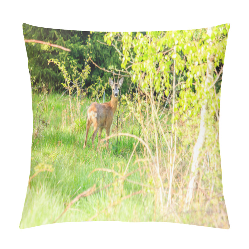 Personality  Whitetail Deer Fawn Pillow Covers