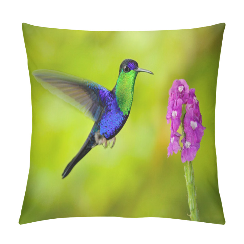 Personality  Beautiful Shiny Tropic Bird Pillow Covers