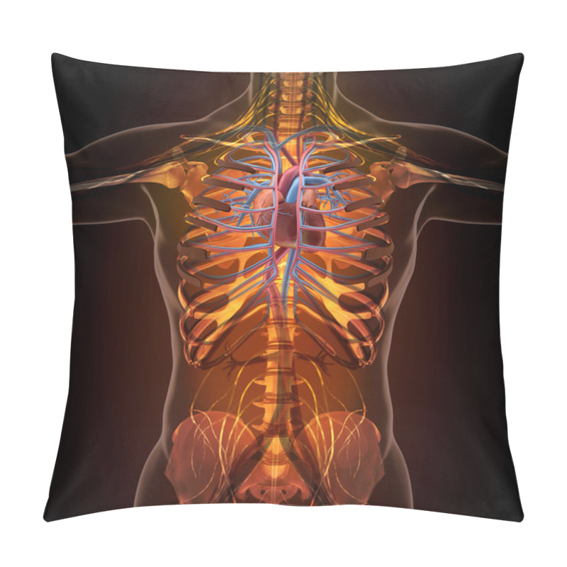 Personality  Anatomy Of Human Organs In X-ray View Pillow Covers