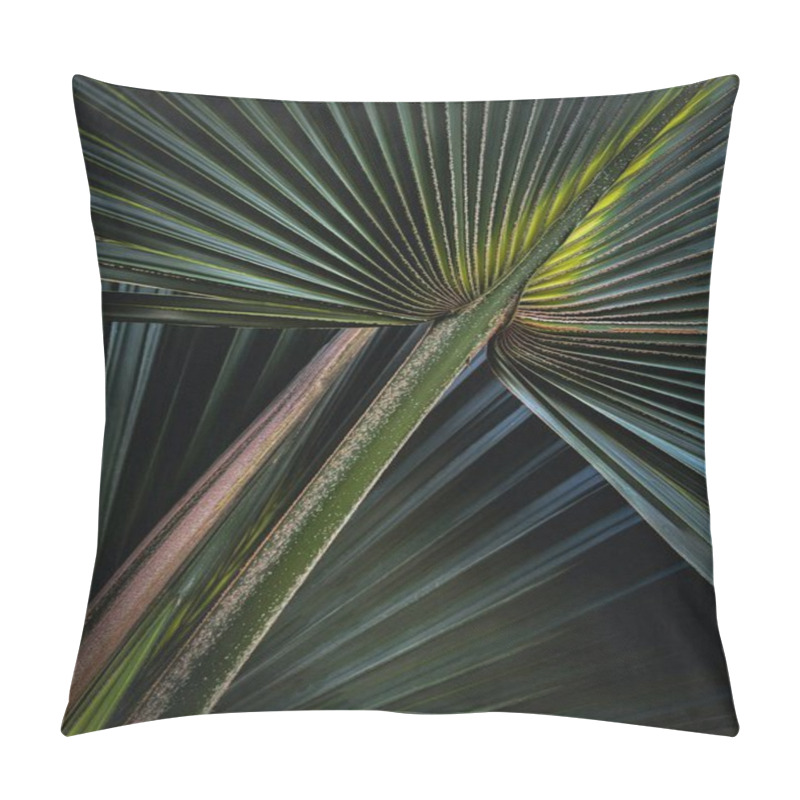 Personality  Close-up Of Vibrant Green Palm Leaves Showcasing Intricate Textures And Patterns. Pillow Covers