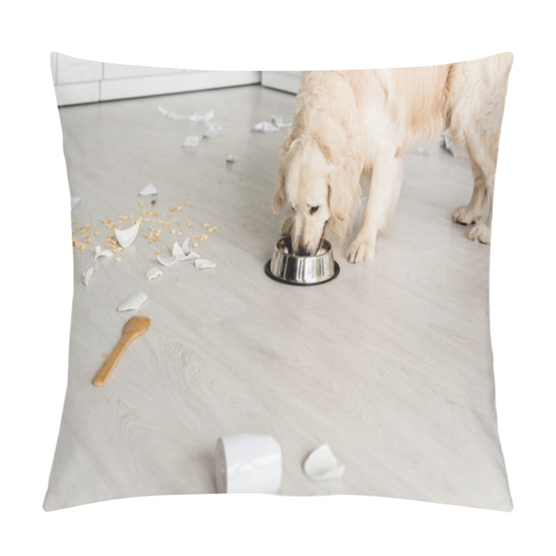 Personality  Cute Golden Retriever Eating Dog Food From Metal Bowl In Messy Kitchen  Pillow Covers