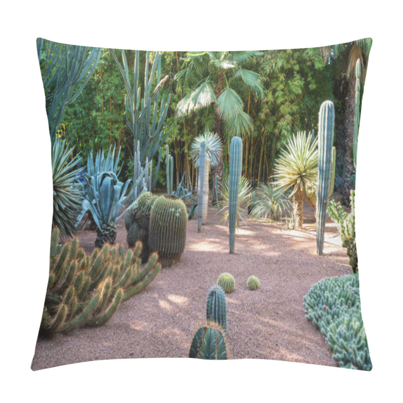 Personality  Marrakech, Morocco - 11, 2019 : Various Cactuses At The Jardin Majorelle Botanical Garden Located In Marrakech, Morocco. Pillow Covers