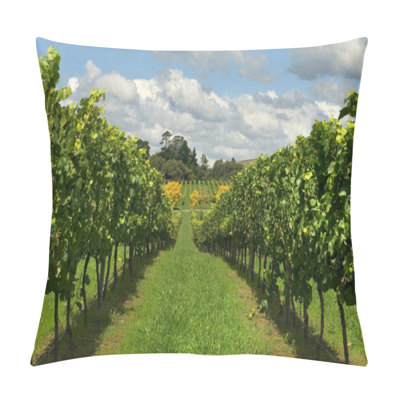 Personality  Rows Of Grapevines Growing In A Vineyard Pillow Covers