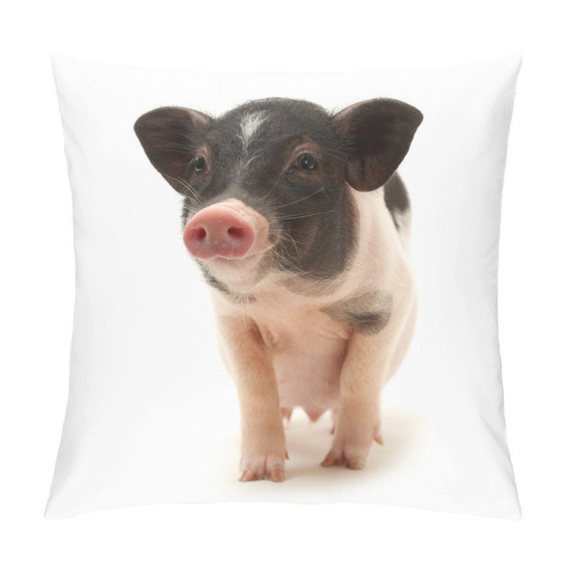 Personality  Small-eared Pig Pillow Covers