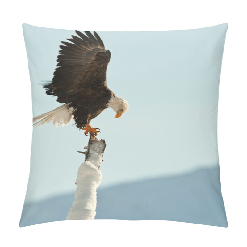 Personality  The Bald Eagle (Haliaeetus Leucocephalus)  Pillow Covers