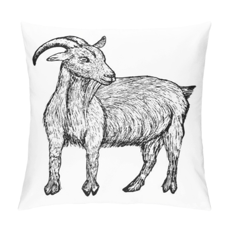 Personality  Goat Black Sketch In Line Style Isolated On White Background Pillow Covers