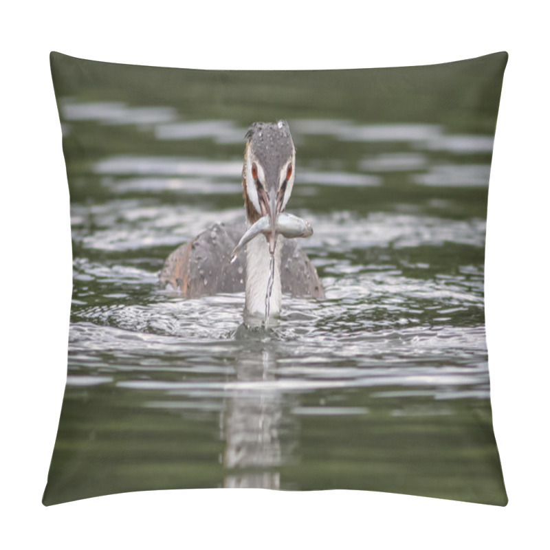 Personality  Great Crested Grebe Pillow Covers