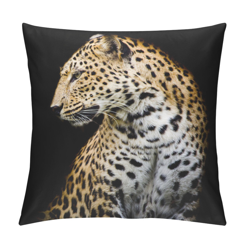 Personality  Side Of Leopard Pillow Covers