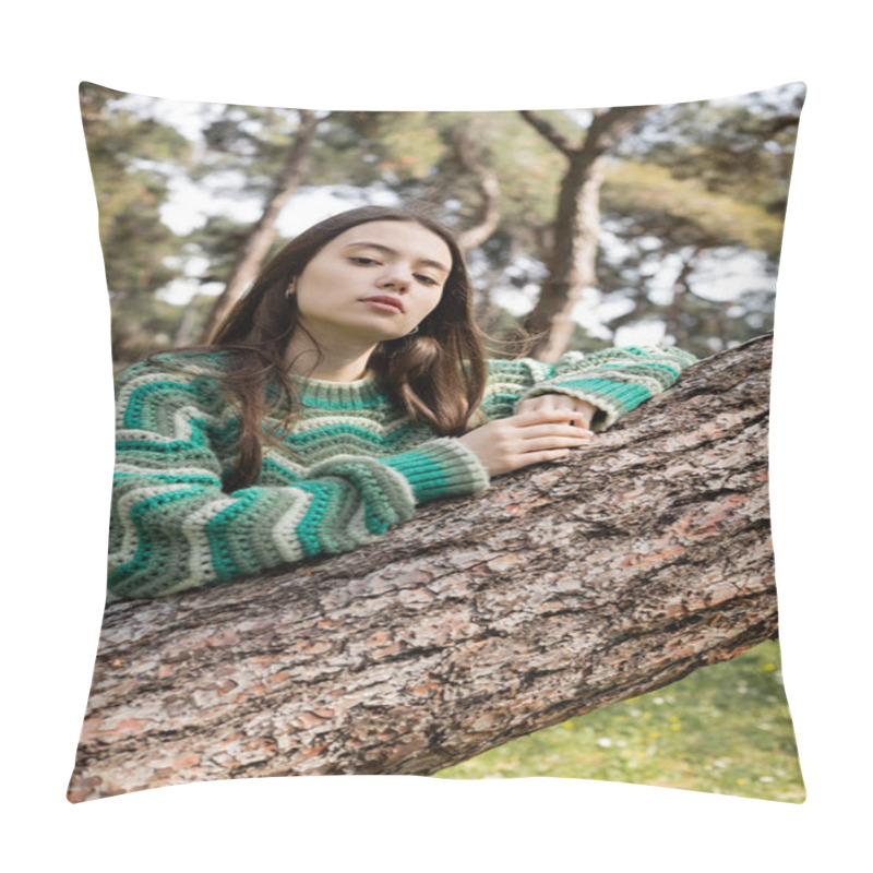 Personality  Portrait Of Young Woman In Sweater Looking At Camera Near Tree In Blurred Park  Pillow Covers