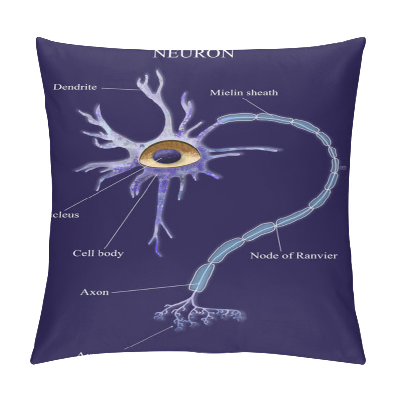 Personality  Neuron Pillow Covers