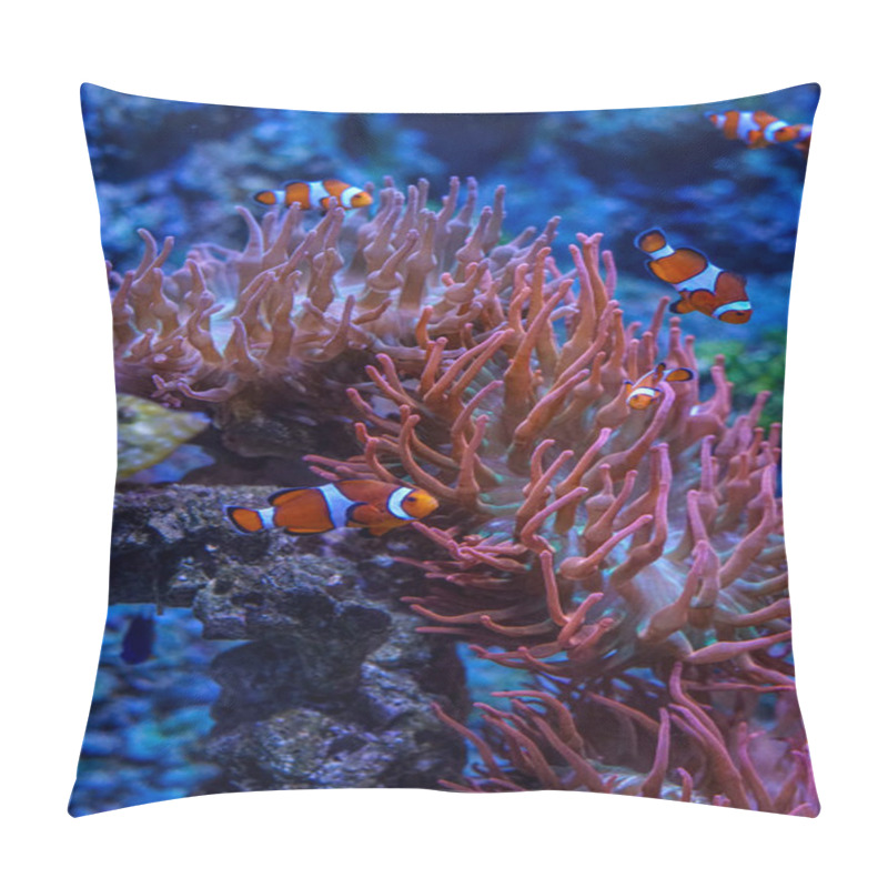 Personality  Singapore, Asia, South East Asia, Clown Fish In The Water Pillow Covers