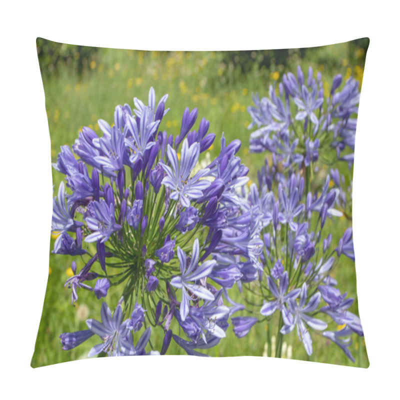 Personality  Agapanthus Praecox Purple Flowers On The Blurred Yellow Wildflowers Background. Lily Of The Nile Ornamental Plant. African Lily Pseudo-umbel Inflorescences. Pillow Covers