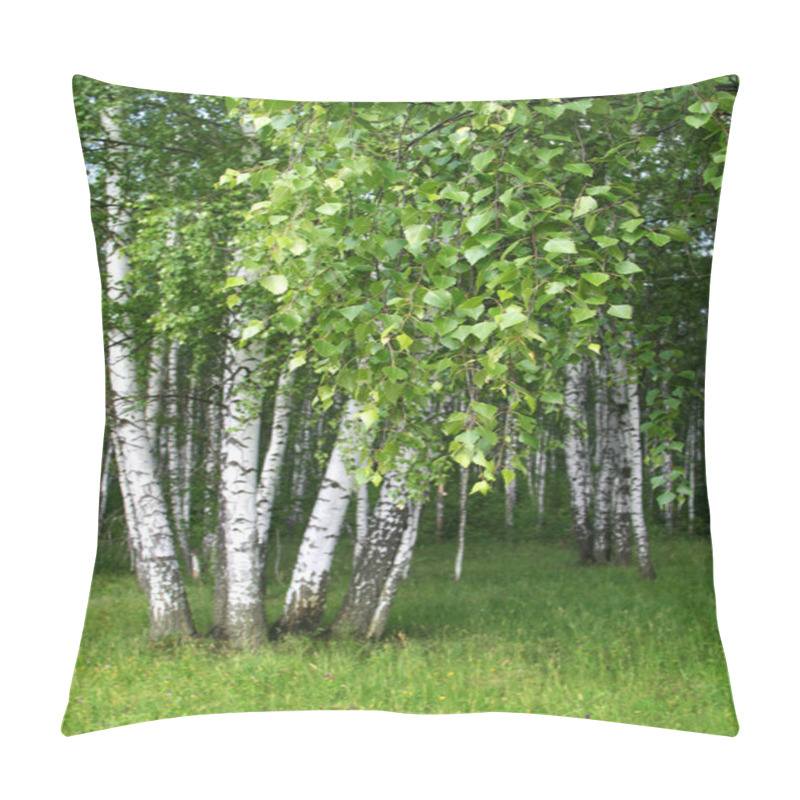 Personality  Birch Trees With Young Foliage Pillow Covers