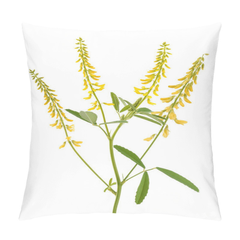 Personality  Melilot Plant Pillow Covers