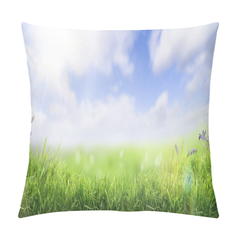 Personality  Lush Spring Green Grass Background With A Sunny Summer Blue Sky  Pillow Covers