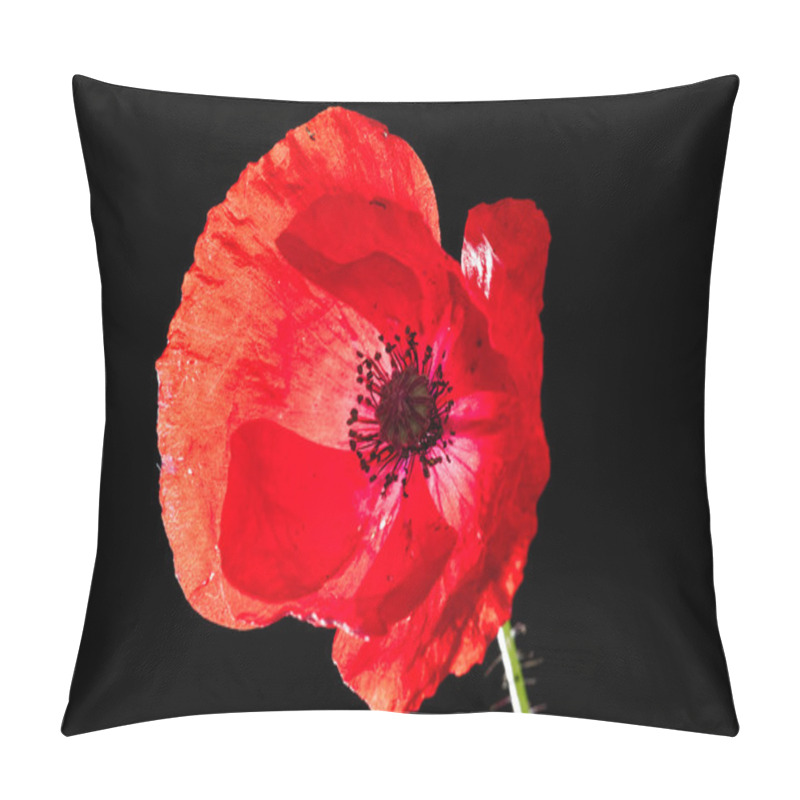 Personality  Red Poppy Detail Pillow Covers