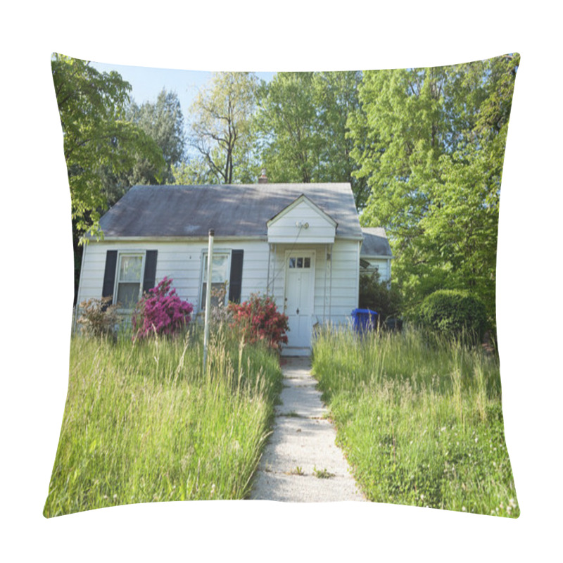 Personality  XXXL Front View Abandoned Foreclosed Cape Cod Home Long Grass Pillow Covers