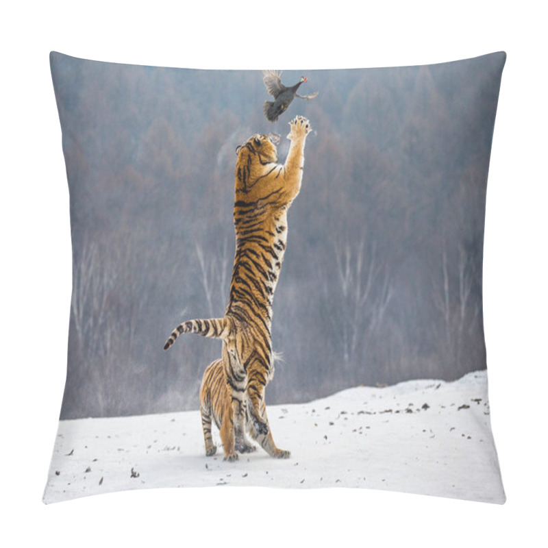 Personality  Siberian Tiger Hunting Prey Fowl In Jump In Winter, Siberian Tiger Park, Hengdaohezi Park, Mudanjiang Province, Harbin, China.  Pillow Covers