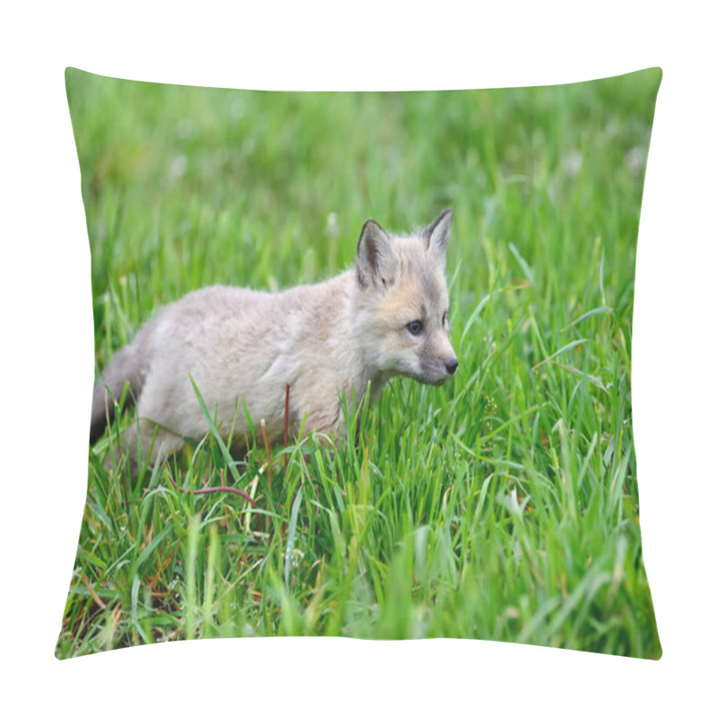 Personality  Fox Cub In Grass Pillow Covers