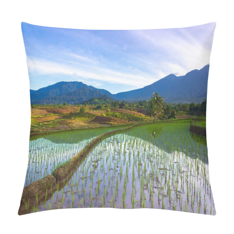 Personality  Indonesian Scenery, Green Rice Terraces And Beautiful Mountains At Sunrise Pillow Covers