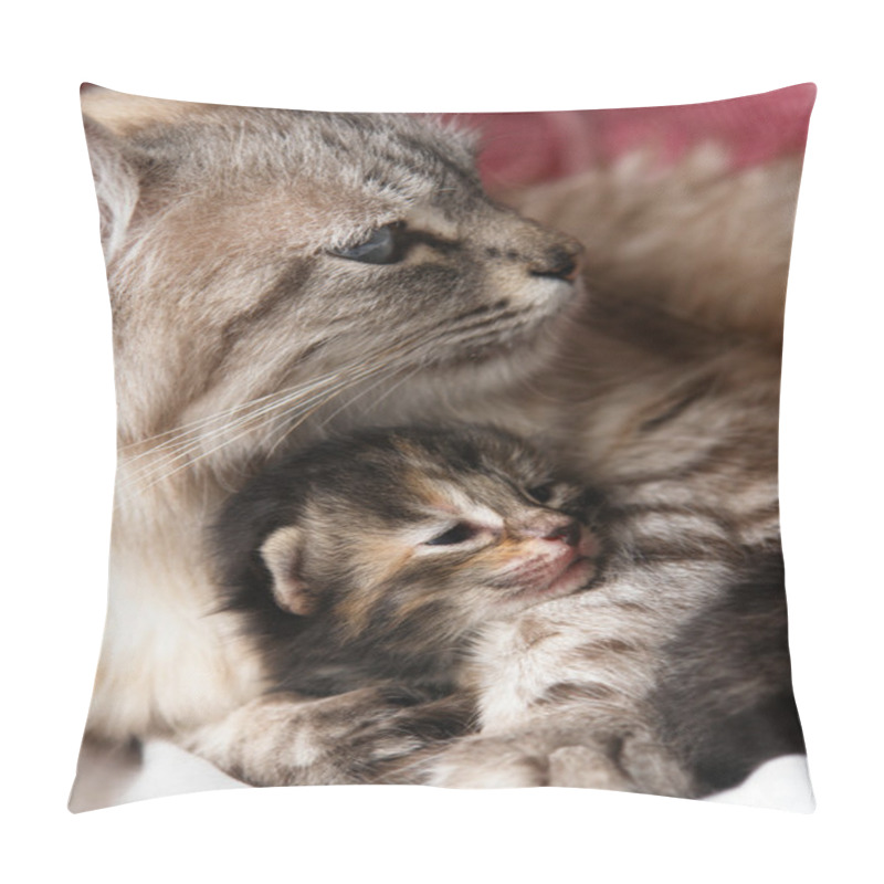 Personality  Cat And Her Kitten Hugs Pillow Covers