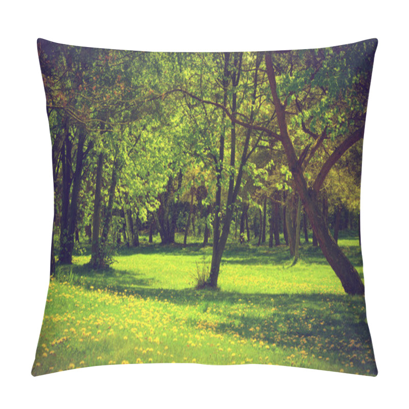 Personality  Green Spring Summer Park. Pillow Covers