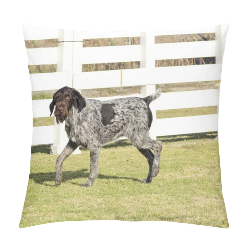 Personality  German Wirehaired Pointer Pillow Covers