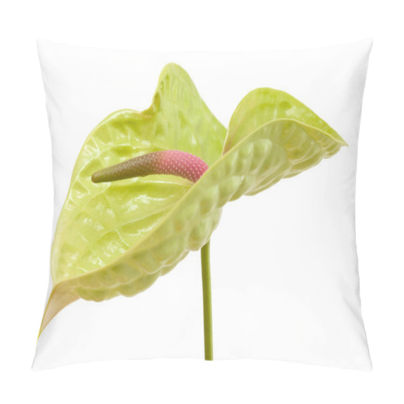 Personality  Green Anthurium Isolated Pillow Covers