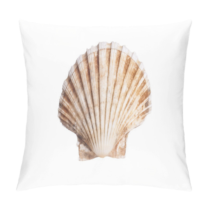 Personality  Closeup Photo Of Scallop Shell Pillow Covers