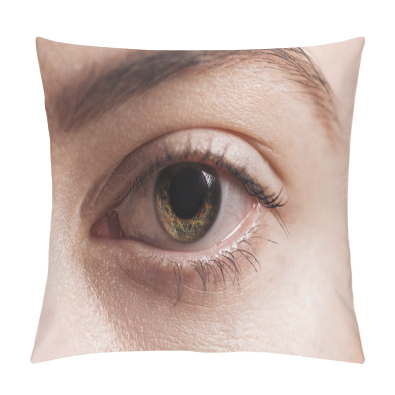 Personality  Close Up View Of Human Brown Eye Looking At Camera Pillow Covers