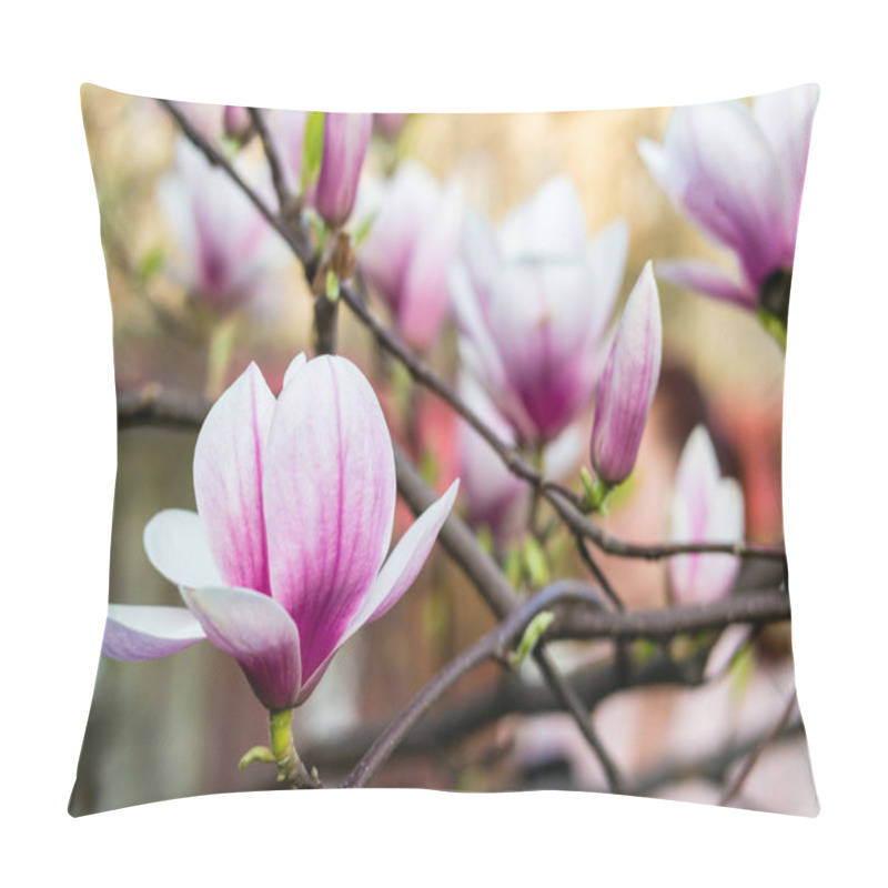 Personality  Magnolia Tree Blossom. Pillow Covers