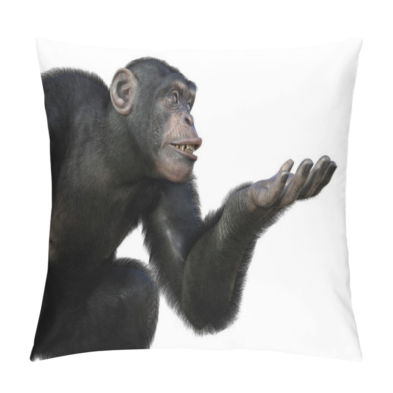 Personality  Chimpanzee Monkey Sitting With One Arm Ready To Hold Something, 3D Illustration Pillow Covers