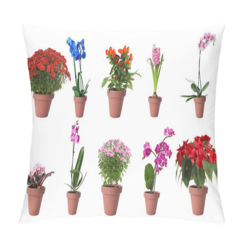 Personality  Set Of Different Blooming Plants In Flower Pots On White Background. Banner Design Pillow Covers