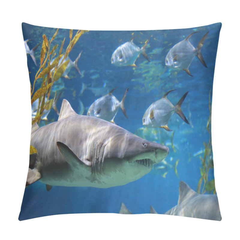 Personality  Close-up White Shark Underwater. Pillow Covers