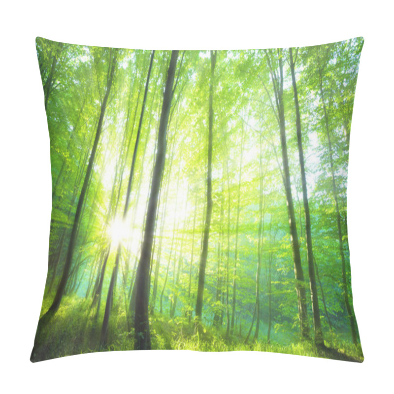 Personality  Sunlight In The Green Forest, Spring Time Pillow Covers