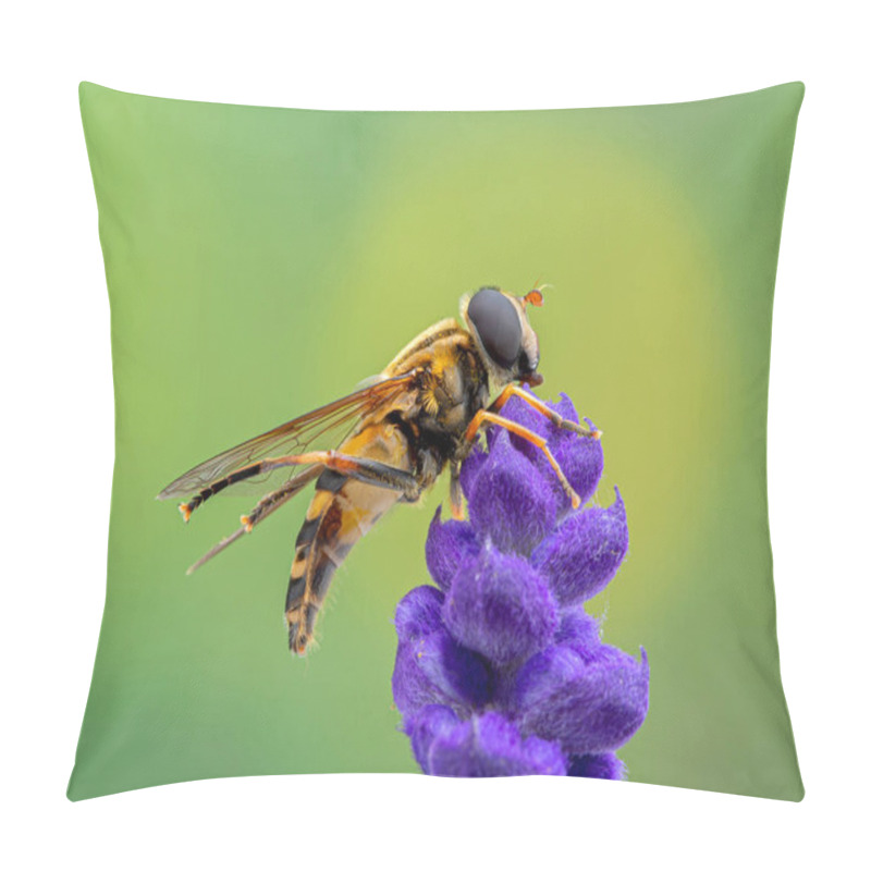 Personality  Colourful Hover Fly, Helophilus Fasciatus Perched On A Salvia Flower While Grooming Its Body With Its Hind Legs. Side View Pillow Covers