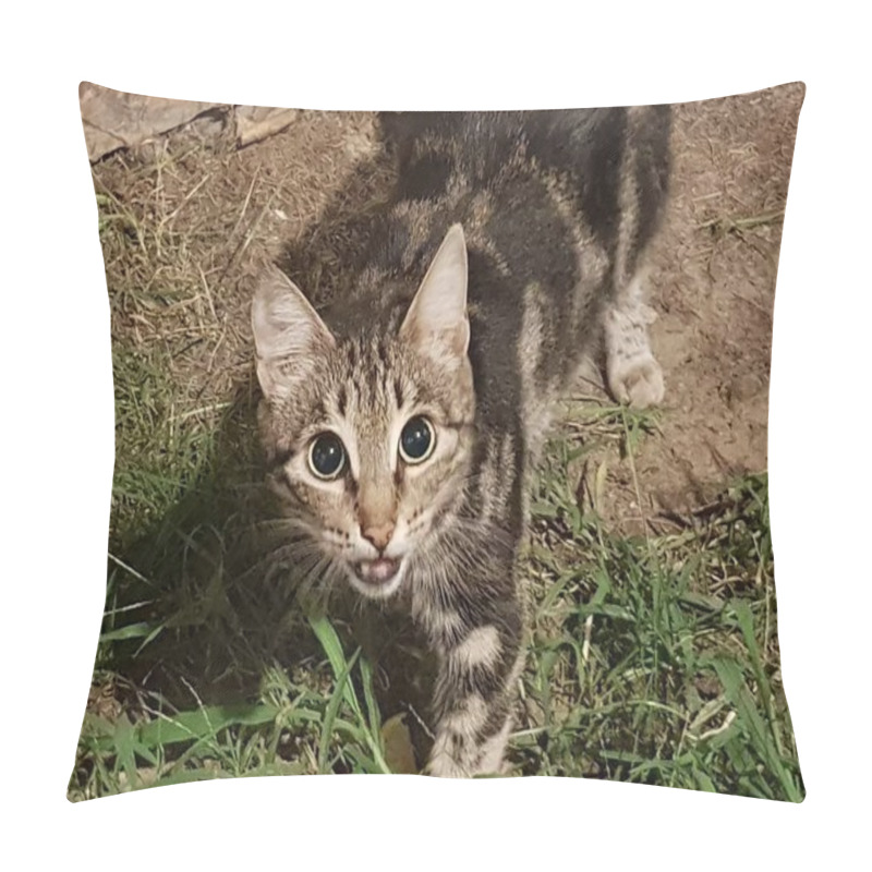 Personality  A Grinning Cat With A Displeased Glance Sits On The Grass Near The Yard On The Background Of A Red Brick Wall And Looks Into The Cameras. Pillow Covers