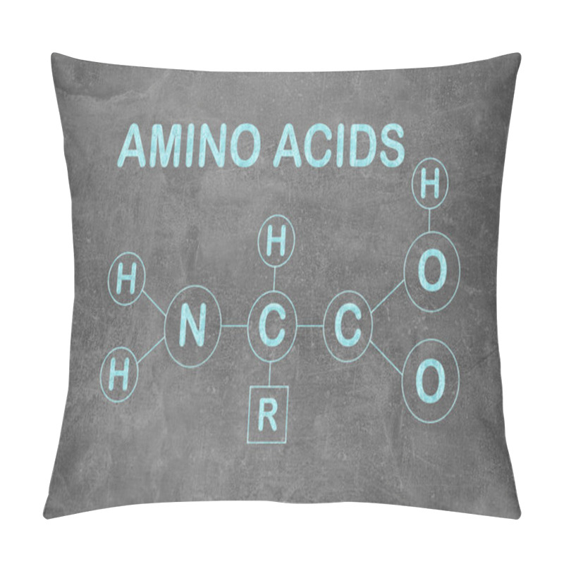 Personality  Text AMINO ACIDS And Chemical Formula On Light Grey Stone Surface Pillow Covers