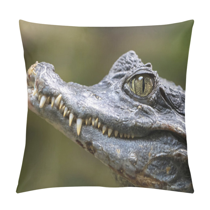 Personality  Spectacled Caiman Crocodile Outdoors, Portrait Pillow Covers