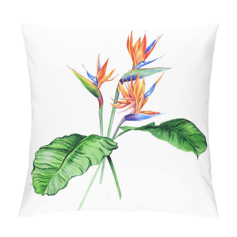 Personality  Watercolor Bouquets With Tropical Plants, Leaves And Strelitzia Flowers. Great For Valentines, Wedding Invites, Hawaii Birthday And Beach Party Pillow Covers