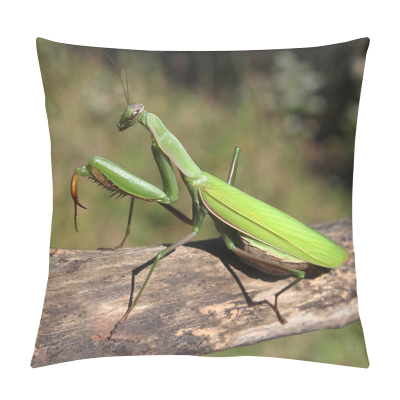 Personality  Praying Mantis Pillow Covers