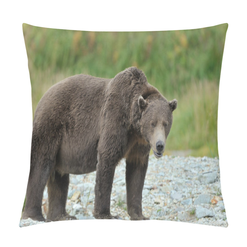 Personality  Grizzly Bear ( Ursus Arctos Horribilis) Pillow Covers