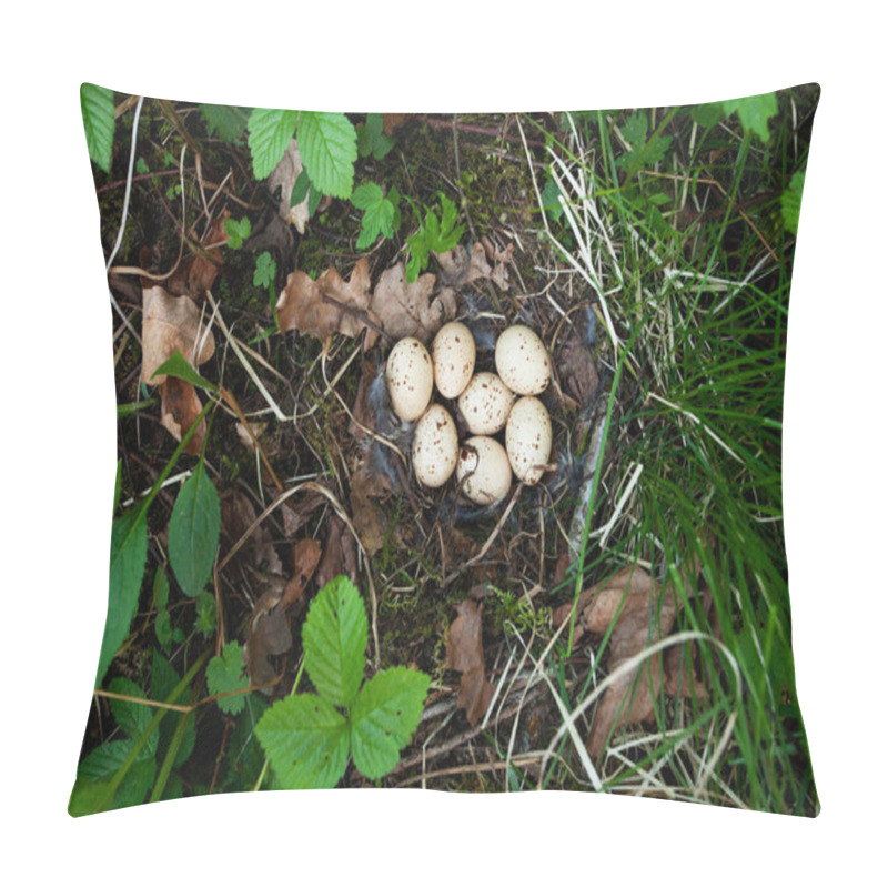 Personality  Hazel Grouse, Tetrastes Bonasia Nest With Seven Eggs In A Lush Boreal Forest During Spring Breeding Season In Estonia, Northern Europe. Pillow Covers