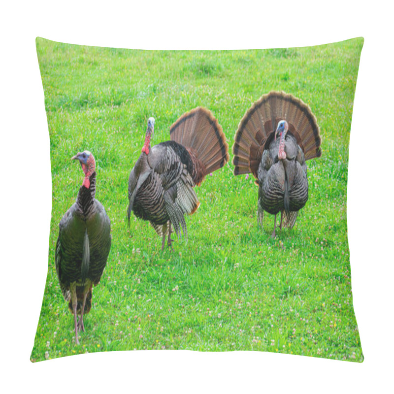 Personality  Horizontal Shot Of Three Wild Smoky Mountain Turkeys.  Green Grass Background. Pillow Covers