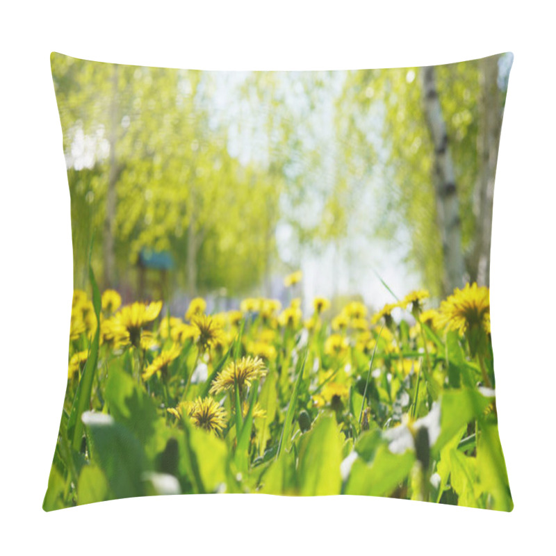 Personality  Close View Of Bright Dandelion Field In Sunny Day Pillow Covers