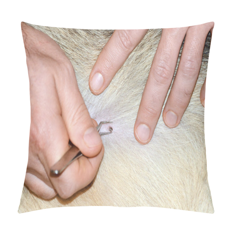 Personality  Removing Tick Attached To Dog With Tweezers Pillow Covers